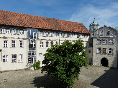 Tree architecture house town Photo