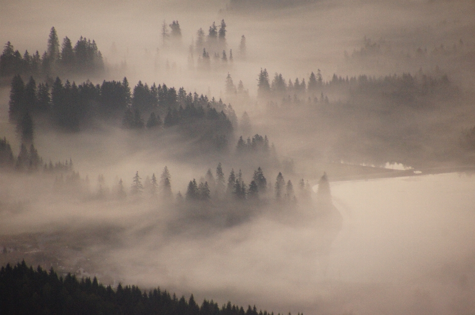 Berg wolke nebel sonnenaufgang