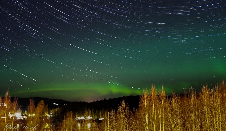 Leggero notte atmosfera verde