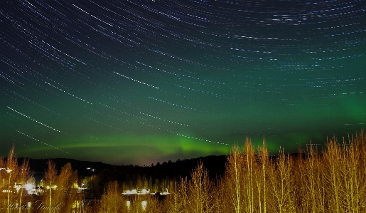 Light night atmosphere green Photo