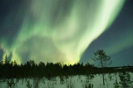 Light atmosphere green aurora Photo