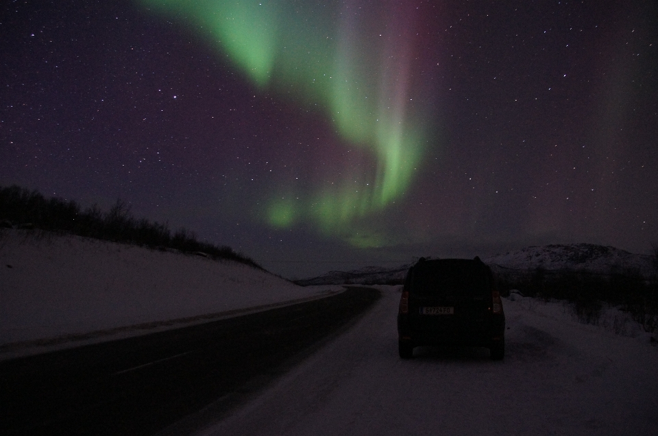 Winter night atmosphere green