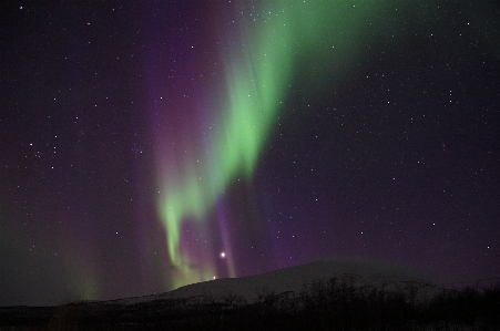 Winter atmosphere green aurora Photo