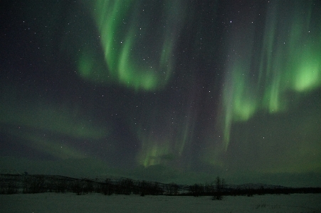 Atmosphere aurora borealis sweden Photo