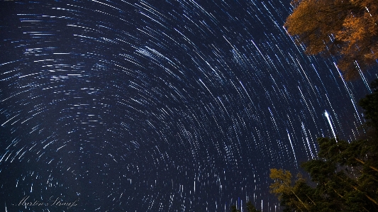 Sky night star atmosphere Photo