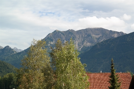 Landschaft baum natur wildnis
 Foto