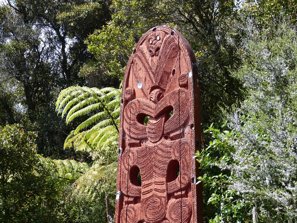 Floresta rock madeira monumento