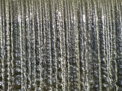 Tree nature waterfall branch Photo