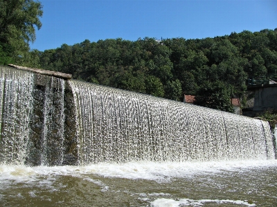 Landscape tree water nature Photo