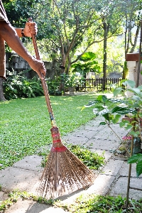 Tree lawn flower tool Photo