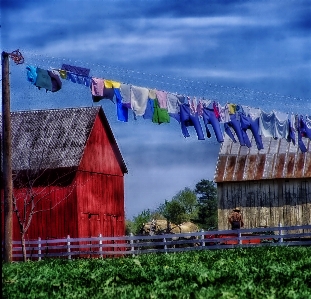 Fence field wagon countryside Photo