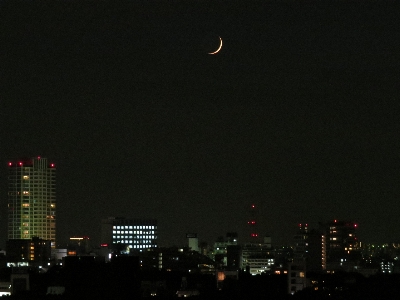 Architecture skyline night building Photo