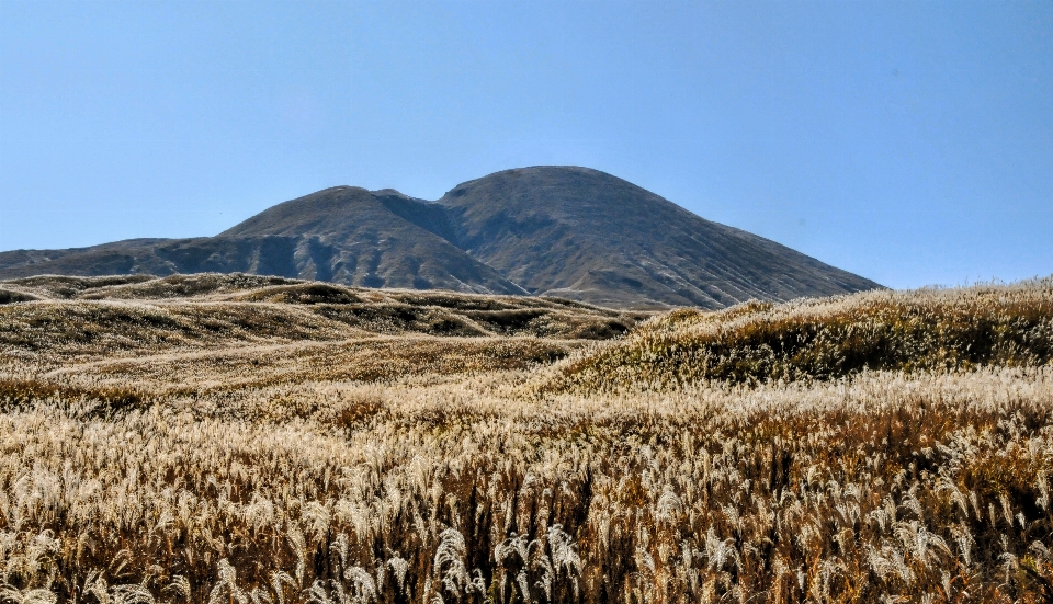 Landscape grass wilderness mountain