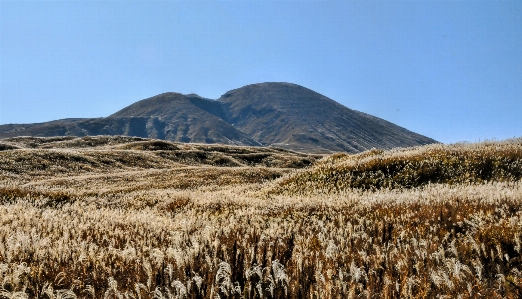 Landscape grass wilderness mountain Photo