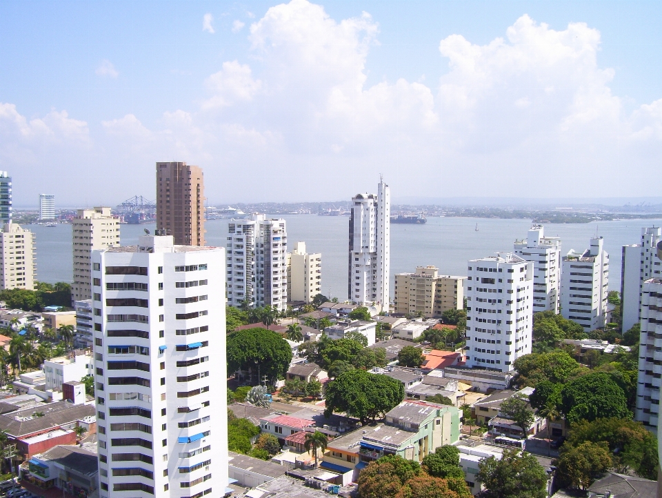 Arquitectura horizonte edificio ciudad