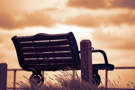 Light wood sunset bench Photo