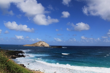 Beach sea coast water Photo