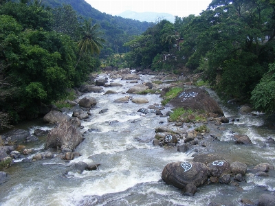 Water creek river valley Photo