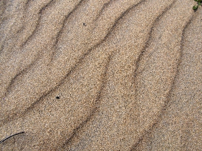 Sand rock light wood Photo