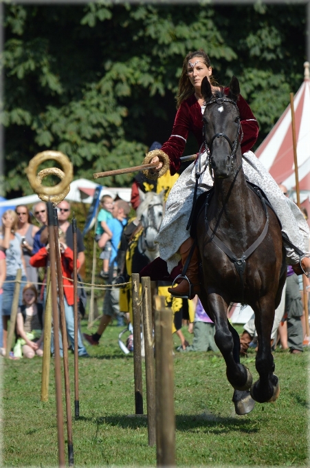 Habilidad caballos medieval holanda