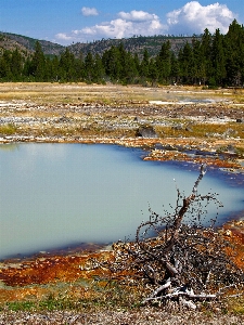 Landscape tree water nature Photo