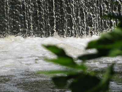 Landscape tree water nature Photo