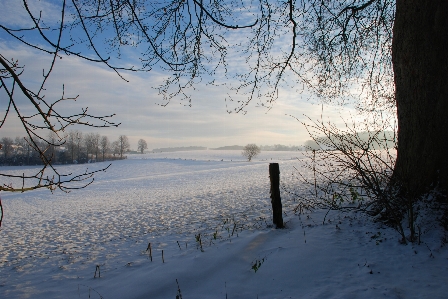 Landscape tree nature outdoor Photo