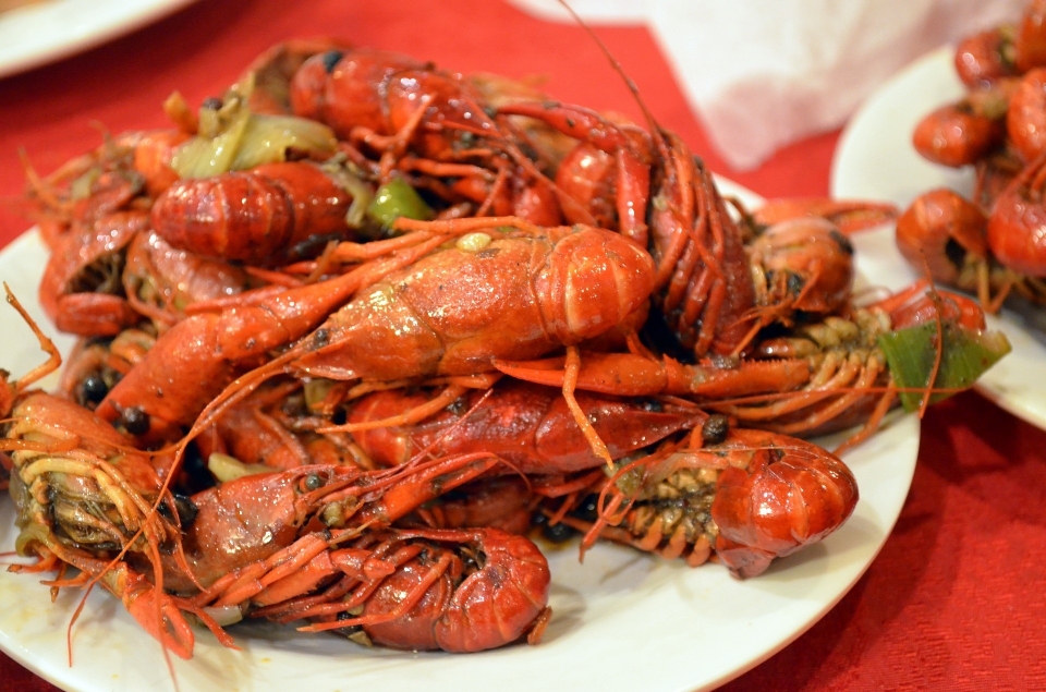 食物 海鲜 无脊椎动物 龙虾