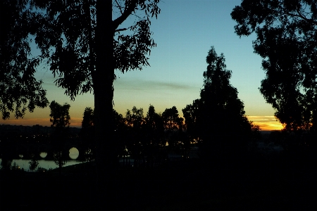 Landscape tree nature sky Photo