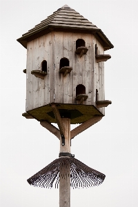 Bird house clock isolated Photo