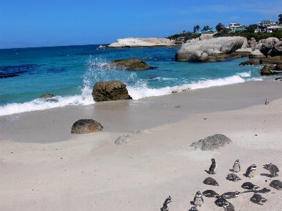 Beach sea coast water Photo