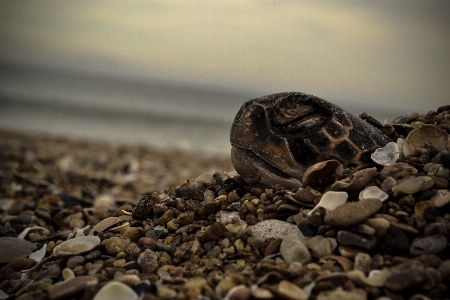 海 自然 砂 rock 写真