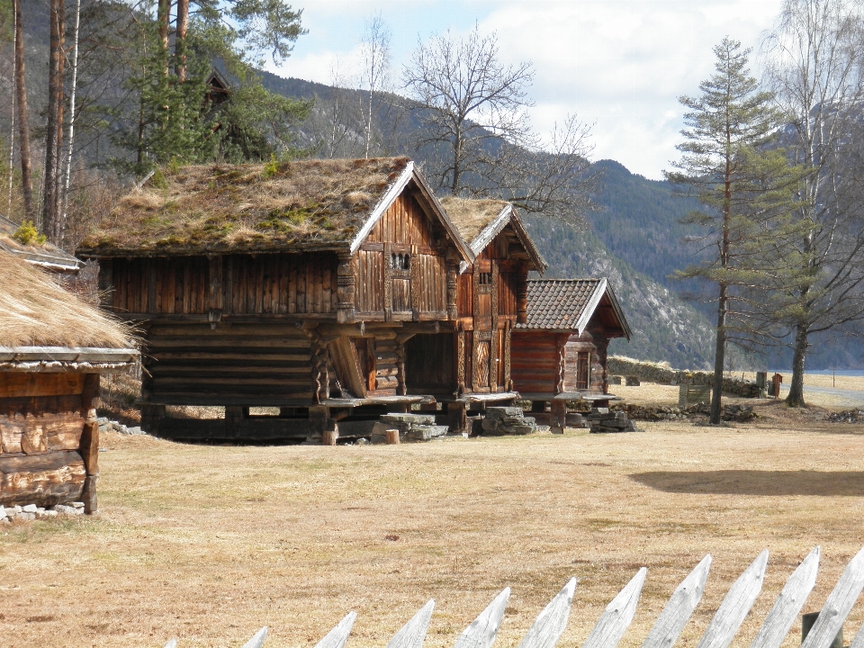 フェンス 木 建物 年