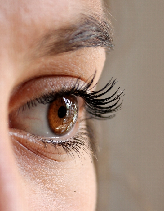 Woman brown blue eyebrow