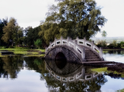 Water nature pedestrian bridge Photo