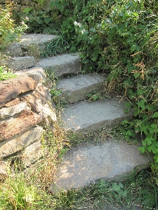 Grass lawn staircase walkway Photo