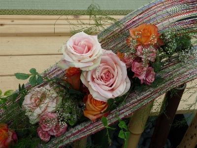 花 植物 咲く 愛 写真