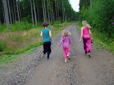 Forest walking people road Photo