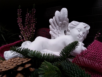 Winter wing flower monument Photo