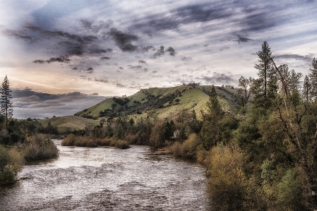 Landscape tree water nature Photo