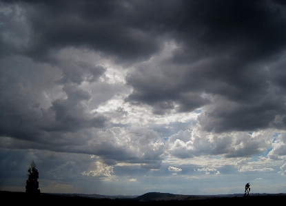 Foto Pohon cakrawala awan langit