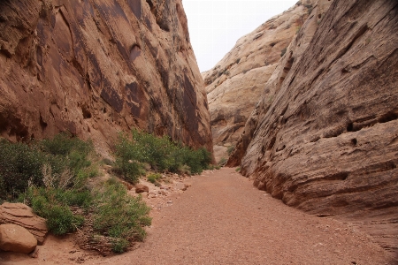 Landscape nature pathway outdoor Photo