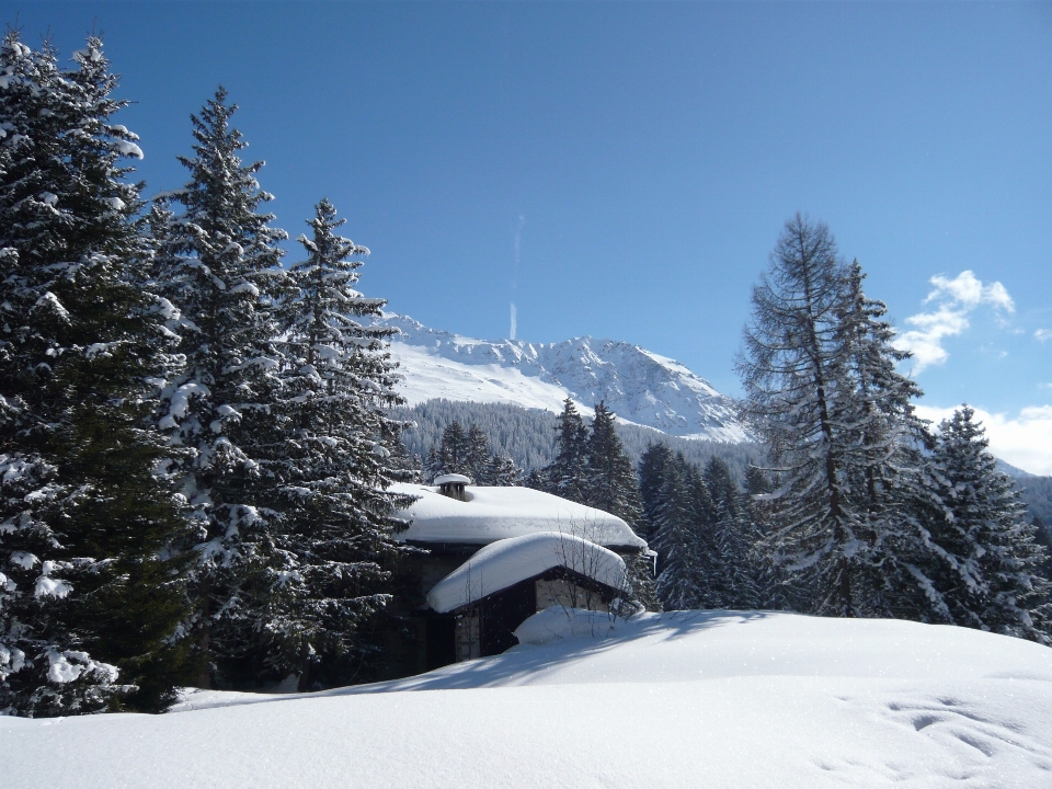 Landscape nature mountain snow