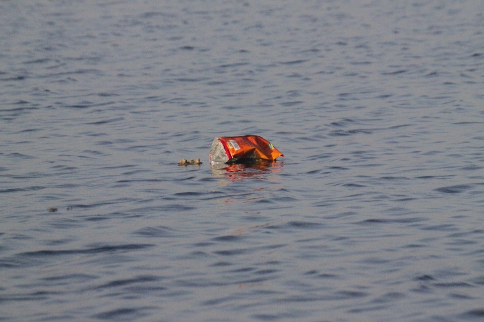 Mer eau océan bateau