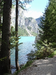 Landscape tree water nature Photo