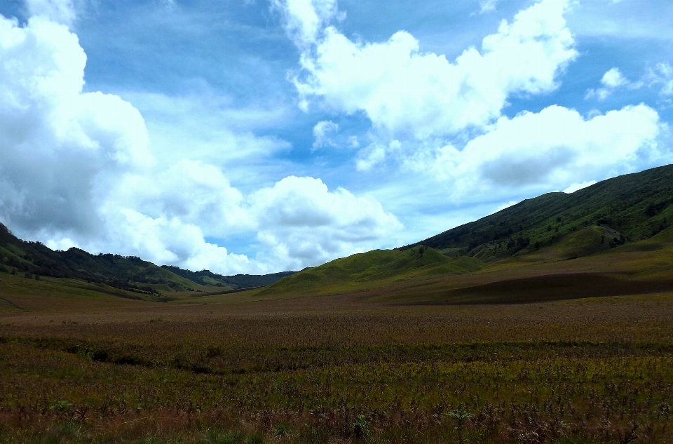 Landscape nature grass horizon