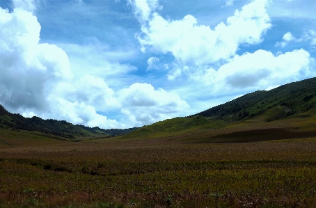 Landscape nature grass horizon Photo