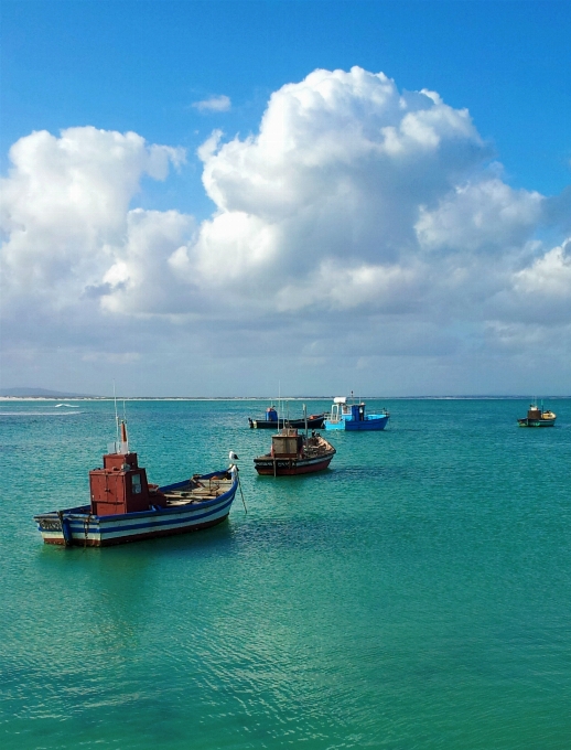 Praia mar costa água