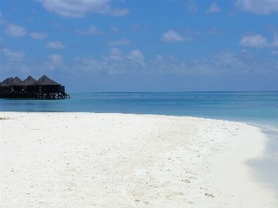 Beach sea coast nature Photo