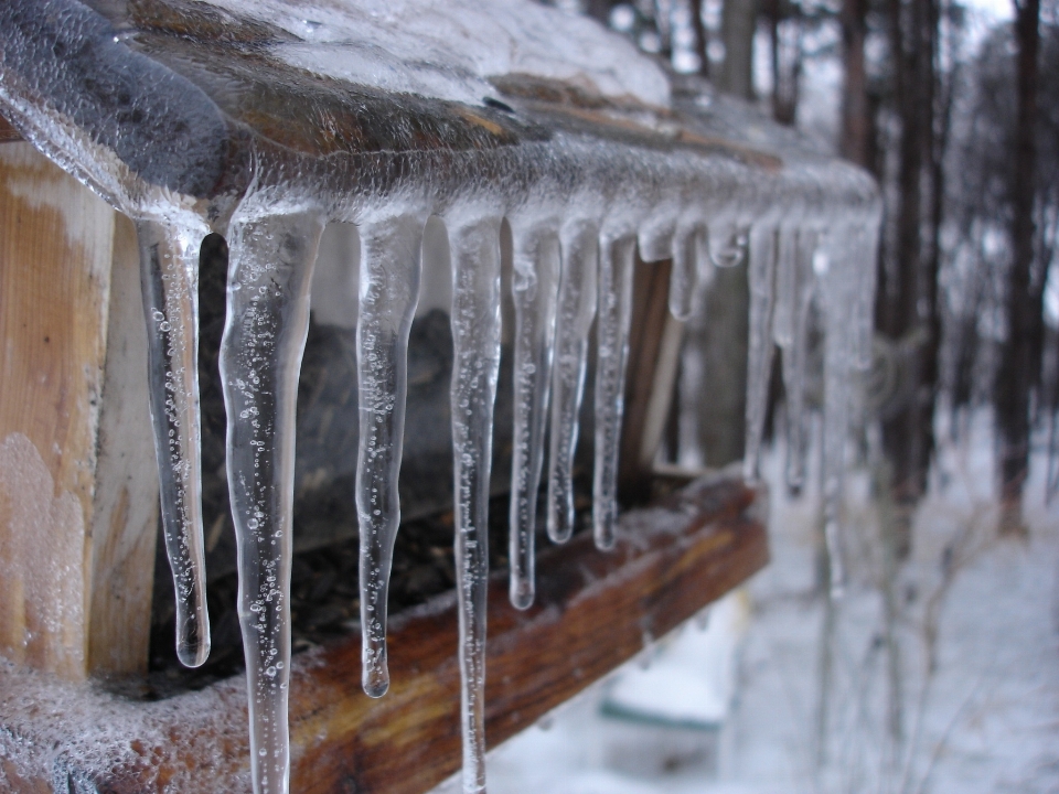 All'aperto nevicare freddo inverno